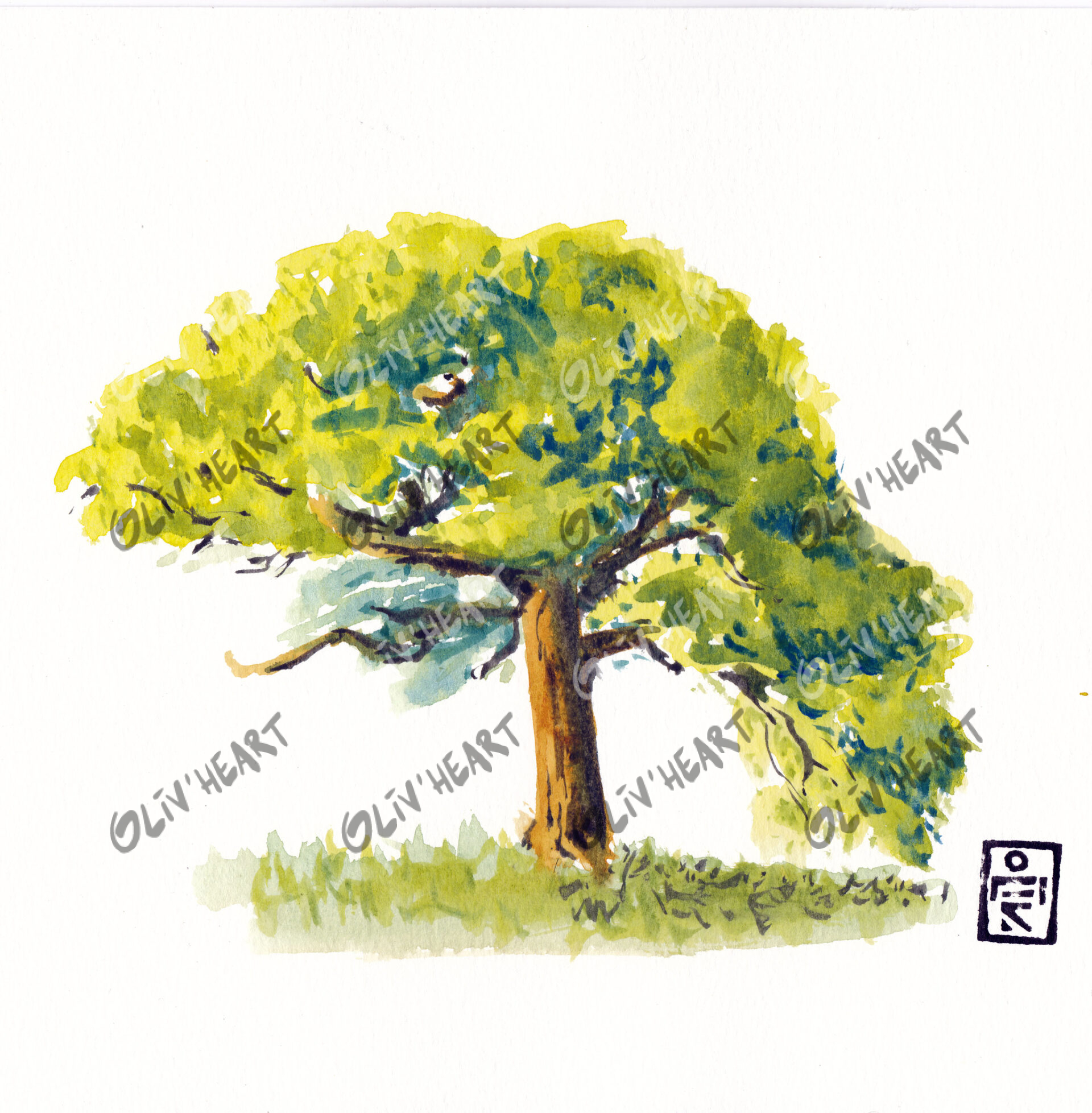 Arbre - carnet de voyage