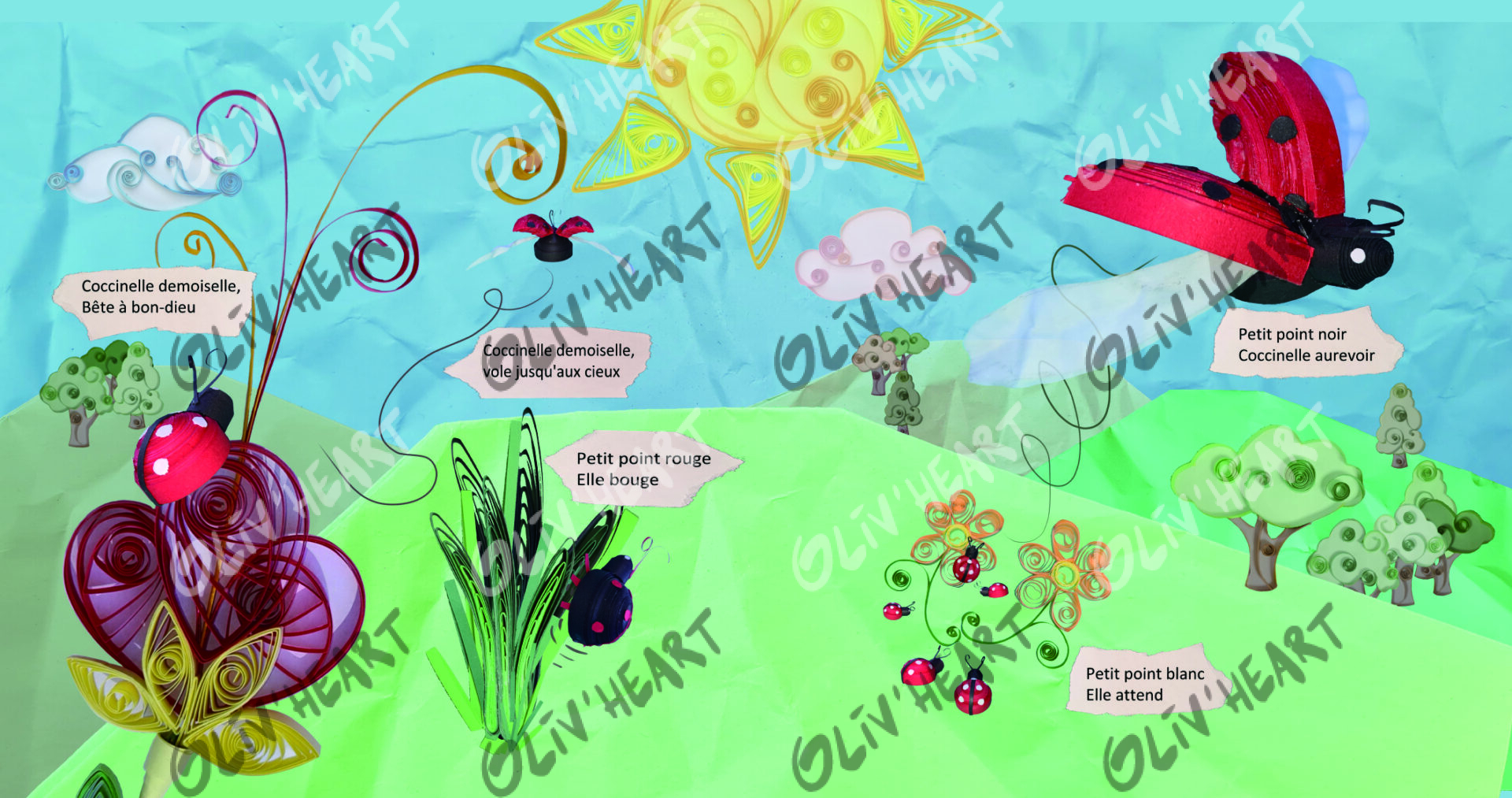 ILLPP01 D2 5 Coccifull