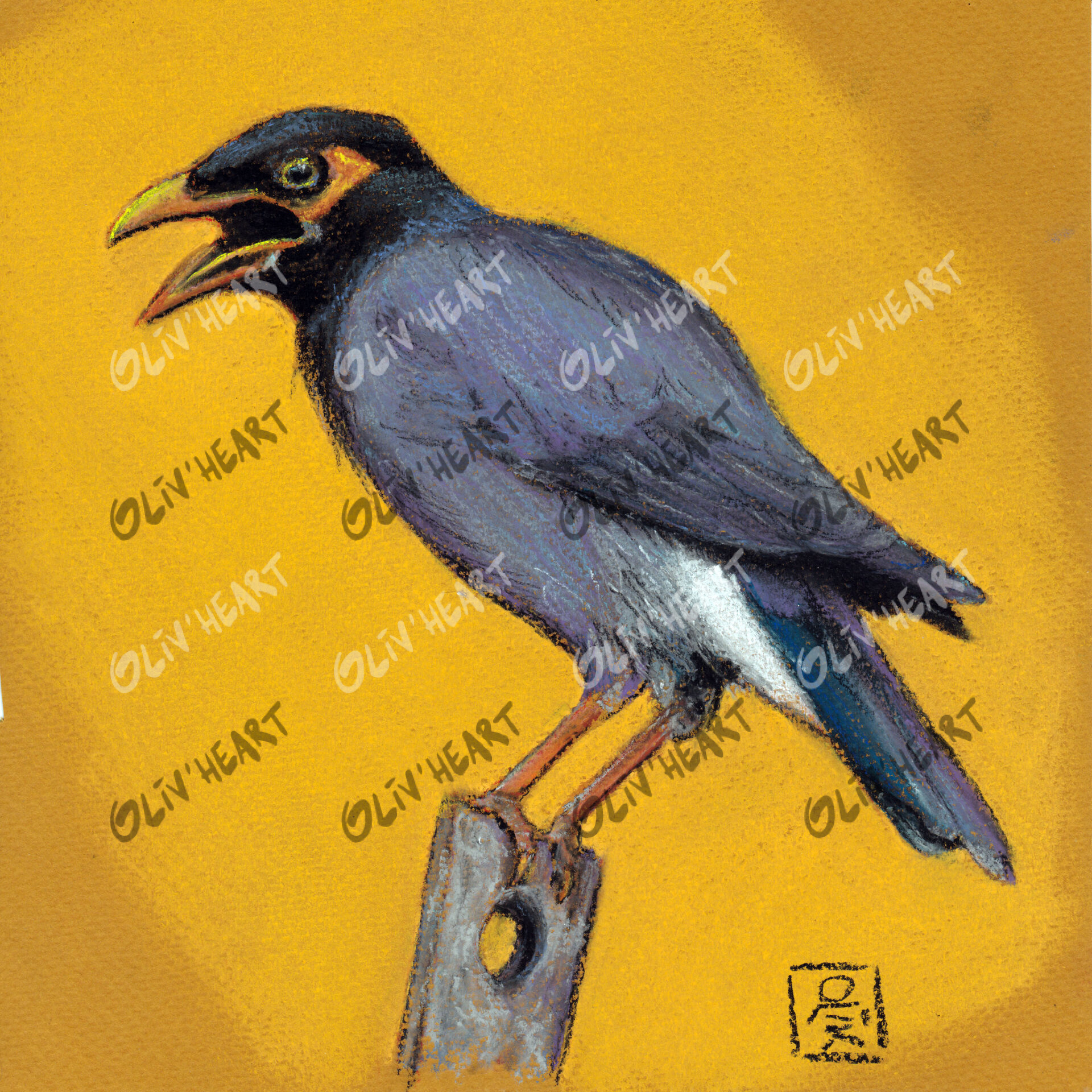 Illustration oiseau - Pastel