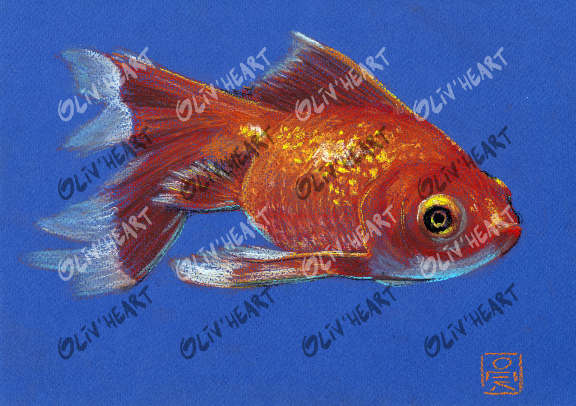 illustration poisson rouge – encre & pastel