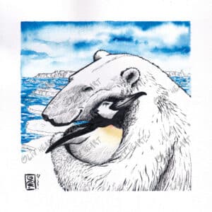 Ours pingouin sur la banquise - Illustration encre et aquarelle