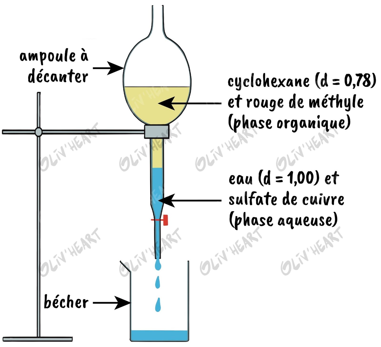 Montage : ampoule à décanter – illustration d'Olivier Souriou (Oliv'Heart) pour « 3 enquêtes de police scientifique » Physique-Chimie 1re, Ellipses
