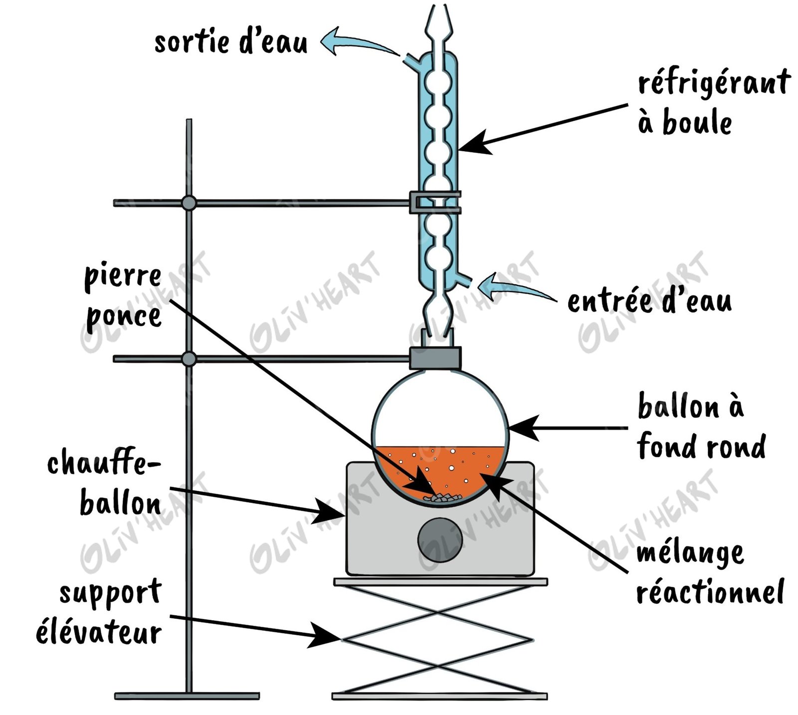 Montage : chauffage à reflux – illustration d'Olivier Souriou (Oliv'Heart) pour « 3 enquêtes de police scientifique » Physique-Chimie 1re, Ellipses